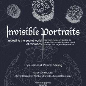 Invisible Portraits - Science World